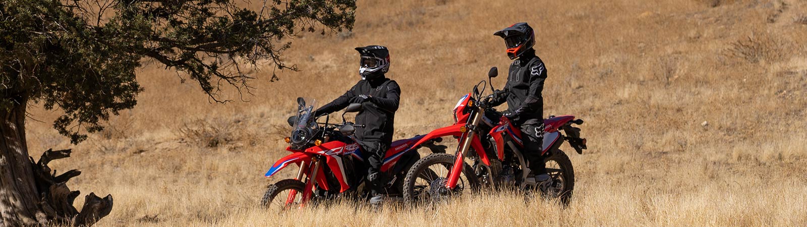 New Honda Adventure Series Bikes for Sale in Arkansas